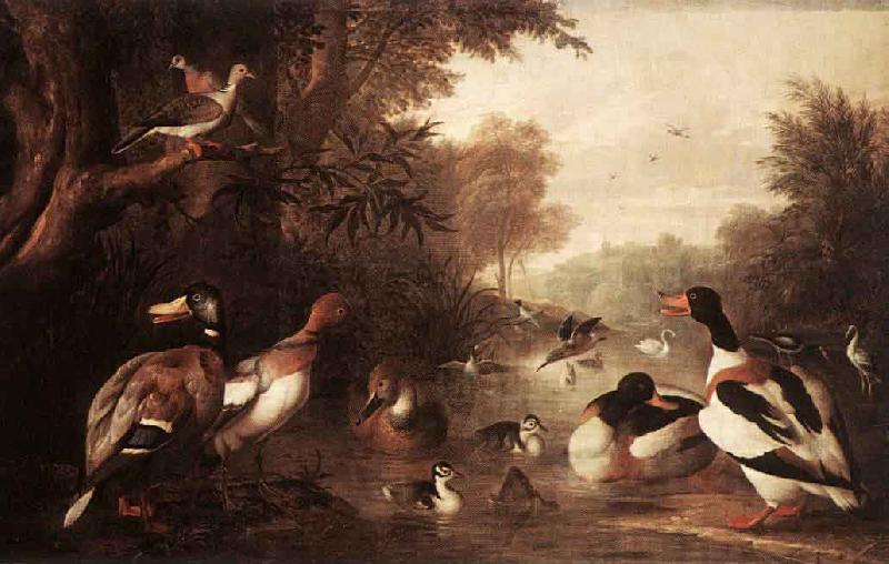 Jakob Bogdani Landscape with Ducks oil painting image
